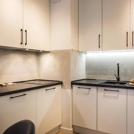 Apartment H2 Apartment- Gasiorowskich 4 - Parking Podziemny - Self Check In 24h - Mtp Targi - Pkp - Sklep Netto W Budynku Poznan